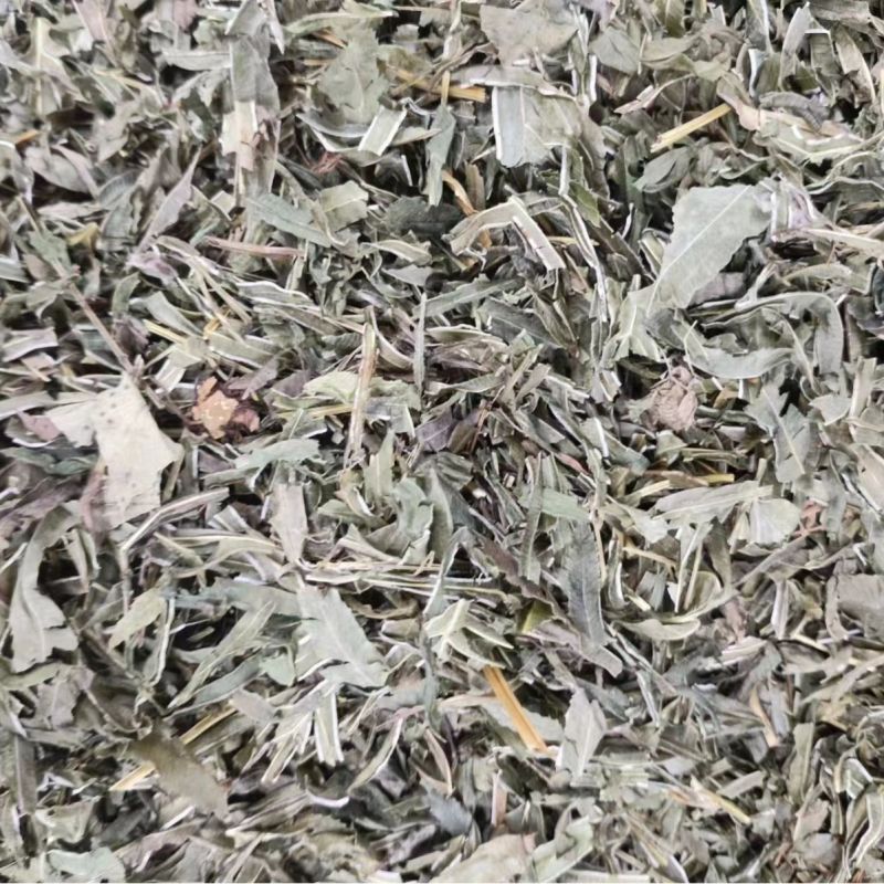 凤尾草量大从优