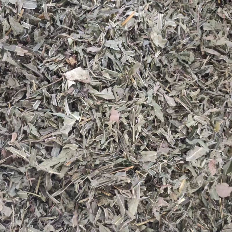 凤尾草量大从优