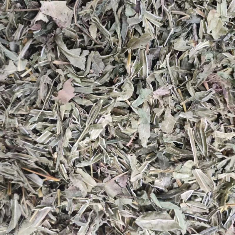 凤尾草量大从优