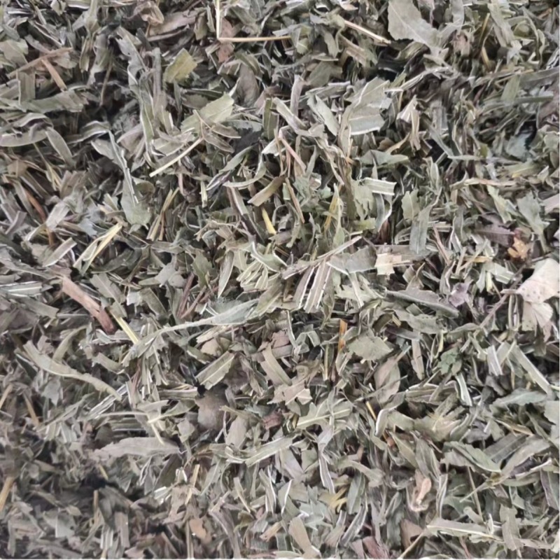 凤尾草量大从优