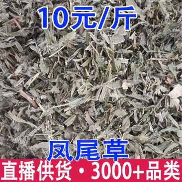 凤尾草量大从优