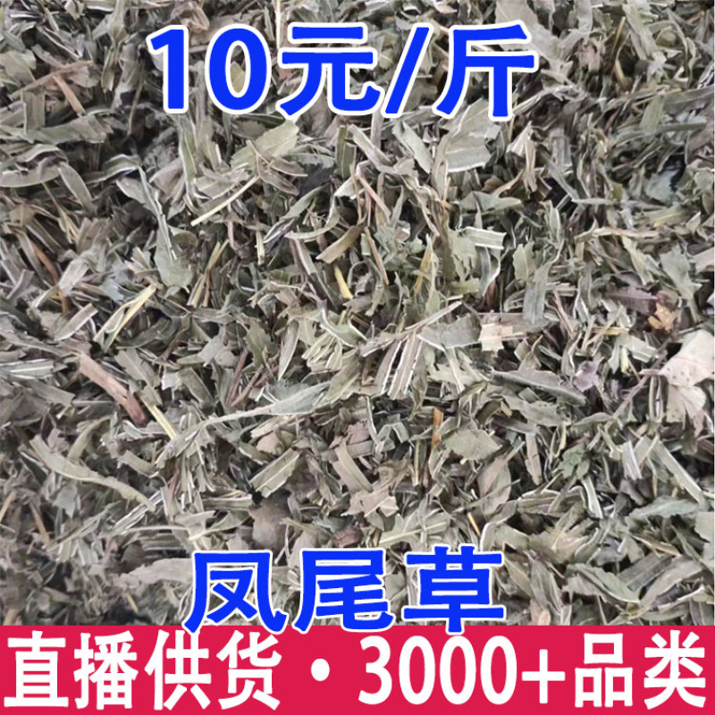 凤尾草量大从优