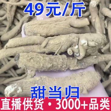 甜当归独脚当归批发量大从优