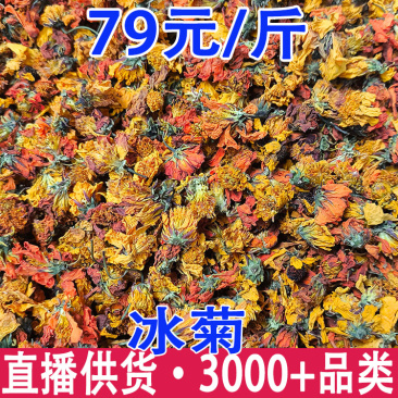雪菊冰菊冰山红雪菊臧红菊一手货源量大从优