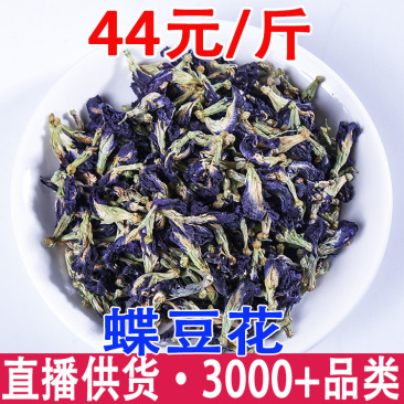 蓝蝶花蝶豆花蓝蝴蝶一件代发量大从优