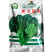 荷兰强势大叶菠菜种子耐寒高产叶片肥厚芽率高基地品种