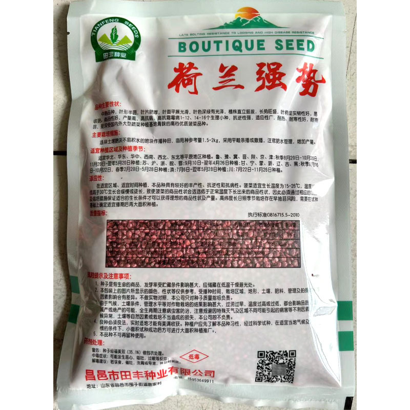 荷兰强势大叶菠菜种子耐寒高产叶片肥厚芽率高基地品种