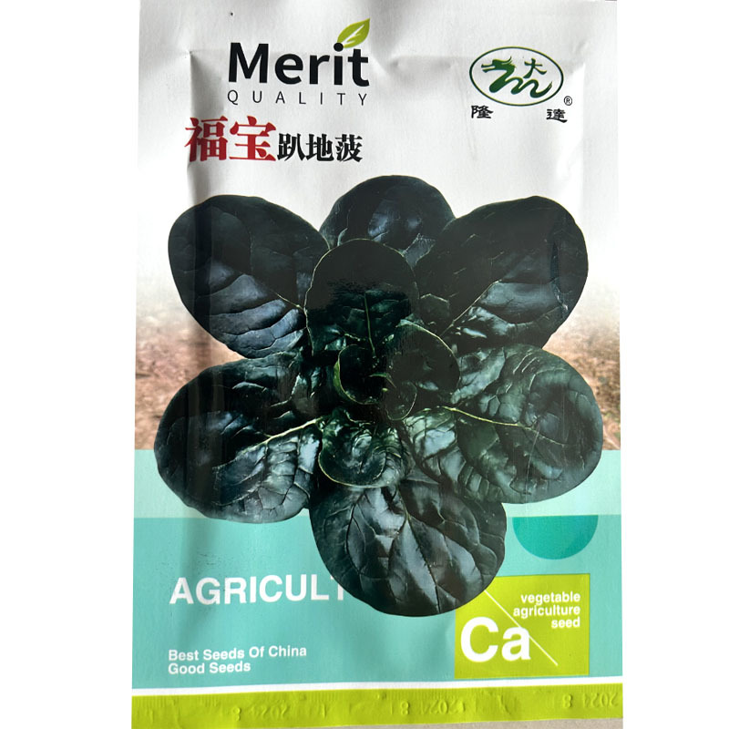 趴地菠菜种子福宝叶片厚耐热耐寒杂交高产杂交