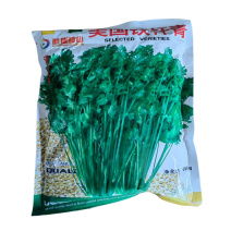 美国铁杆青香菜种子耐热耐抽苔叶片浓绿不易倒伏大叶芫荽种子
