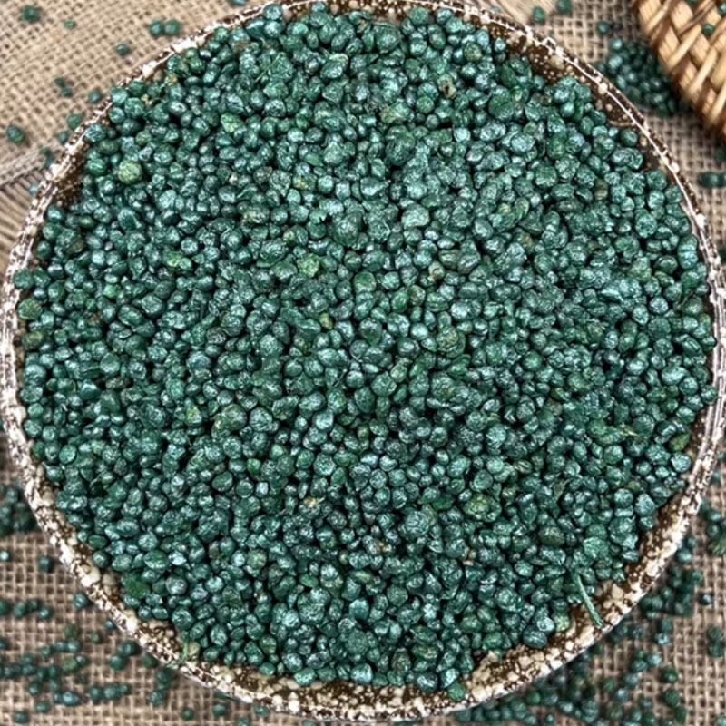 至尊宝菠菜种子叶肉肥大叶菠菜种子耐寒耐抽薹抗病高产红根菠