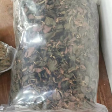 金线莲野生金线莲中草药，台湾本地红霞大量有货，欢迎来电