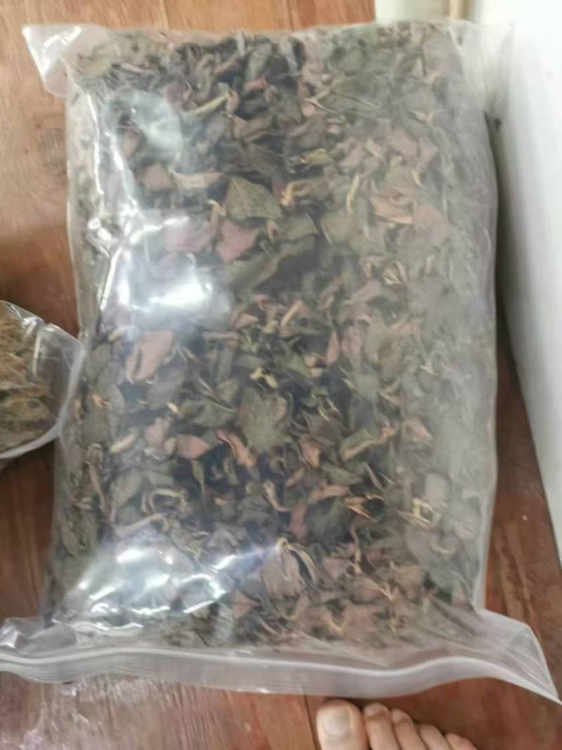金线莲野生金线莲中草药，台湾本地红霞大量有货，欢迎来电