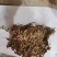 金线莲野生金线莲中草药，台湾本地红霞大量有货，欢迎来电