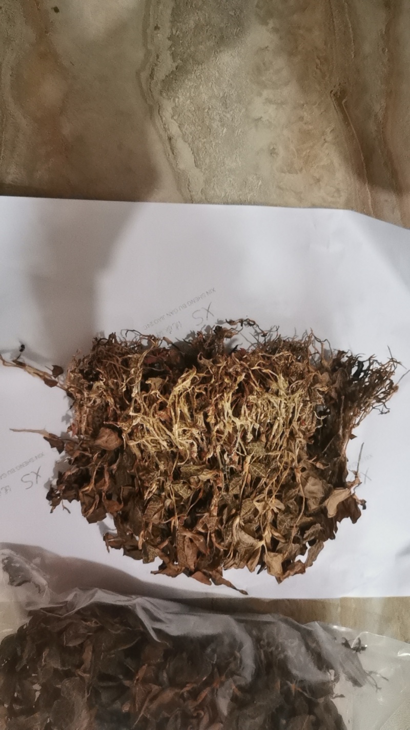 金线莲野生金线莲中草药，台湾本地红霞大量有货，欢迎来电