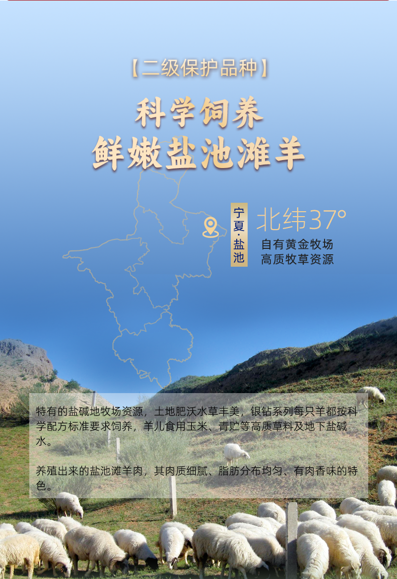 宁夏盐池滩羊满肉羊脖子整个新鲜羔羊带肉带骨羊颈去淋巴生鲜