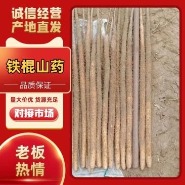 铁棍山药万荣山药河津钱棍山药软糯香甜对接全国市场
