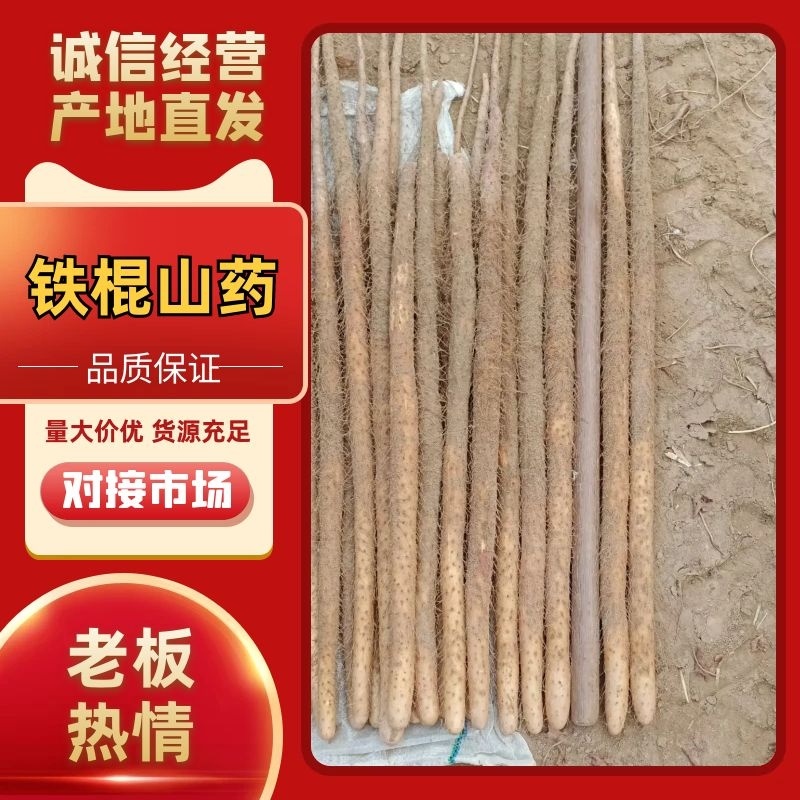 铁棍山药万荣山药河津钱棍山药软糯香甜对接全国市场
