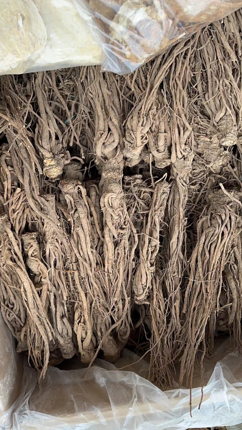 当归当归头当归片批发全当归身切片煲汤尾代磨当归粉
