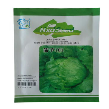 结球生菜种子箭手101生菜种子沙拉汉堡包心球形结球种籽
