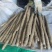山药白玉山药。大量上市，产地直发。全国发货欢迎来电咨询