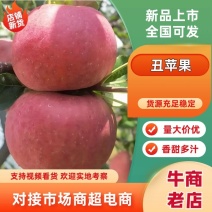 大凉山盐源丑苹果不打蜡，不催熟，个头大，价格低