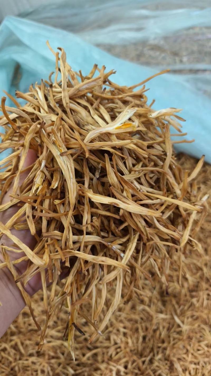 【大荔黄花菜】陕西黄花菜新鲜上市/无硫***欢迎下单