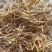 【大荔黄花菜】陕西黄花菜新鲜上市/无硫***欢迎下单