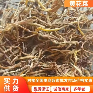 【黄花菜】大荔黄花菜自然晒干产地直发对接全国市场