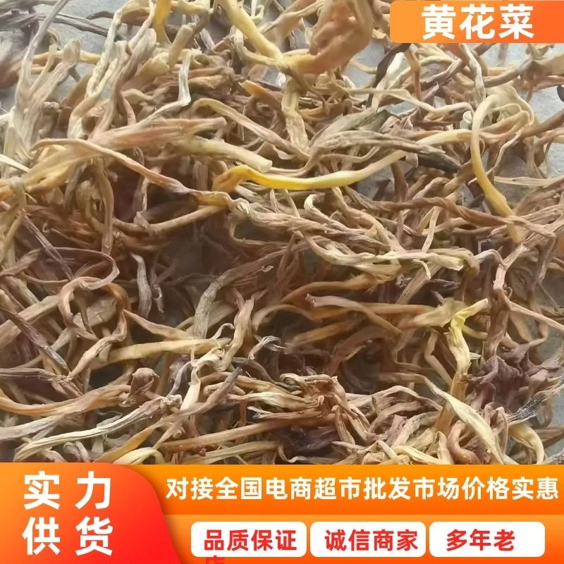 【黄花菜】大荔黄花菜自然晒干产地直发对接全国市场