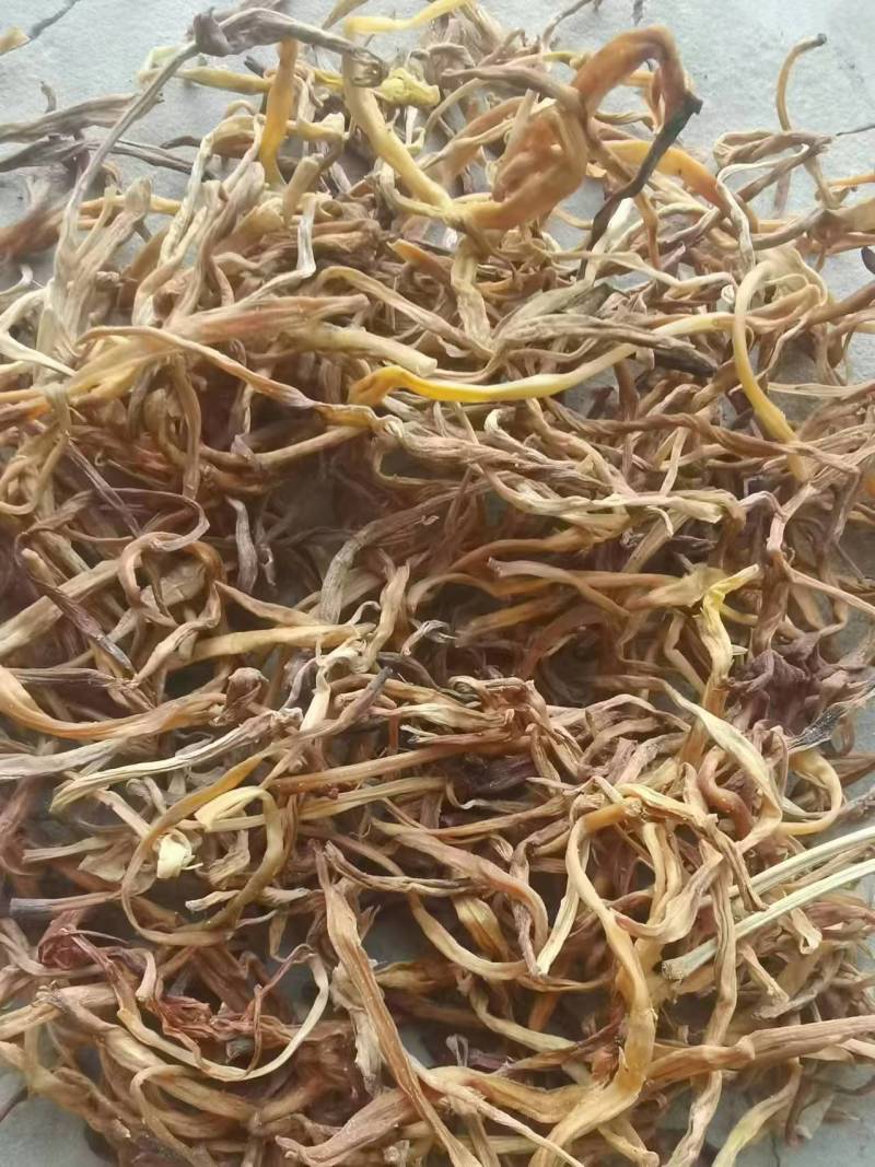 【实力供货】大荔黄花菜一件代发农家菜无硫***剂