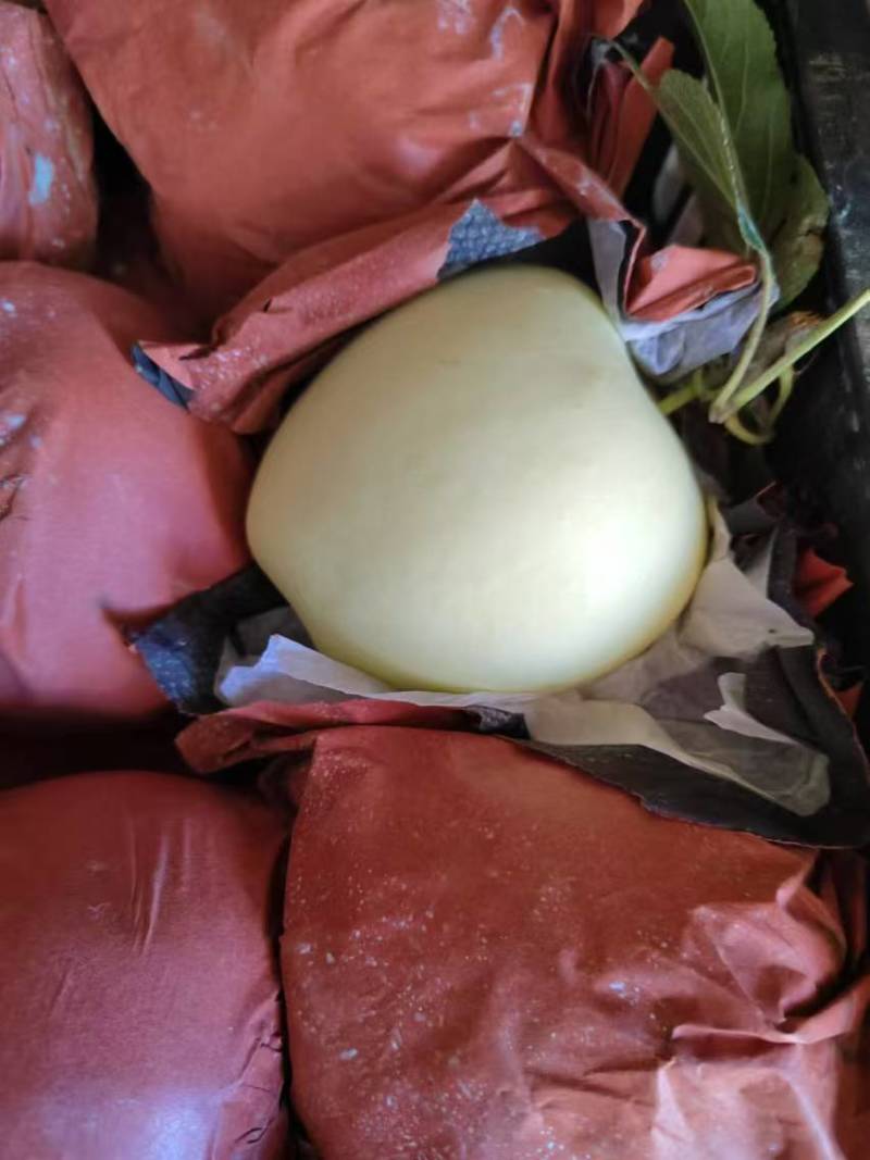 （推荐）中秋王苹果产地一手货源可视频看货欢迎选购