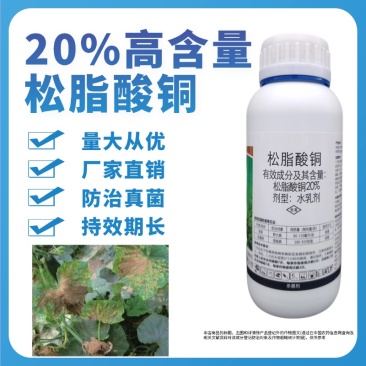 松脂酸铜溃疡病流胶病软腐病野火病穿孔病柑橘果树蔬菜农药杀