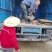 【基地直供】粉防已苗杯苗优质种苗提供种苗技术产地直发