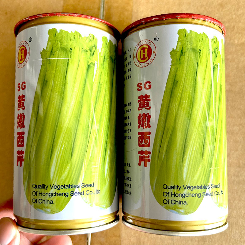 SG黄嫩西芹种子耐热耐寒黄杆绿油亮耐抽苔春秋四季
