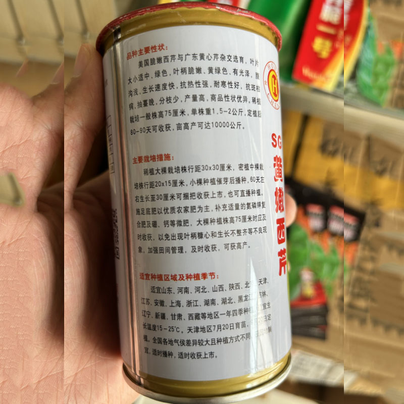 SG黄嫩西芹种子耐热耐寒黄杆绿油亮耐抽苔春秋四季