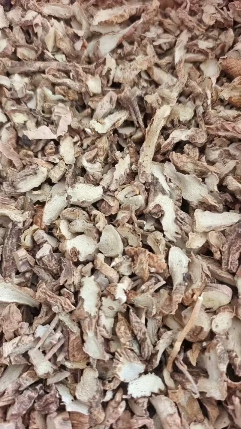 河北知母片大量有货兴隆饮片品质好量大从优