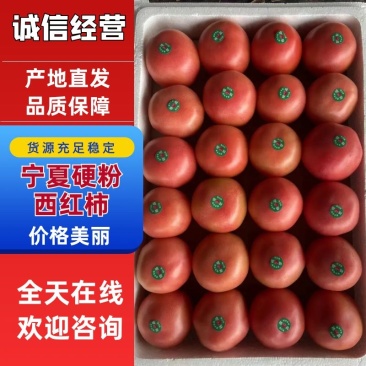 硬粉西红柿西红柿可对接商超规格齐全量大从优