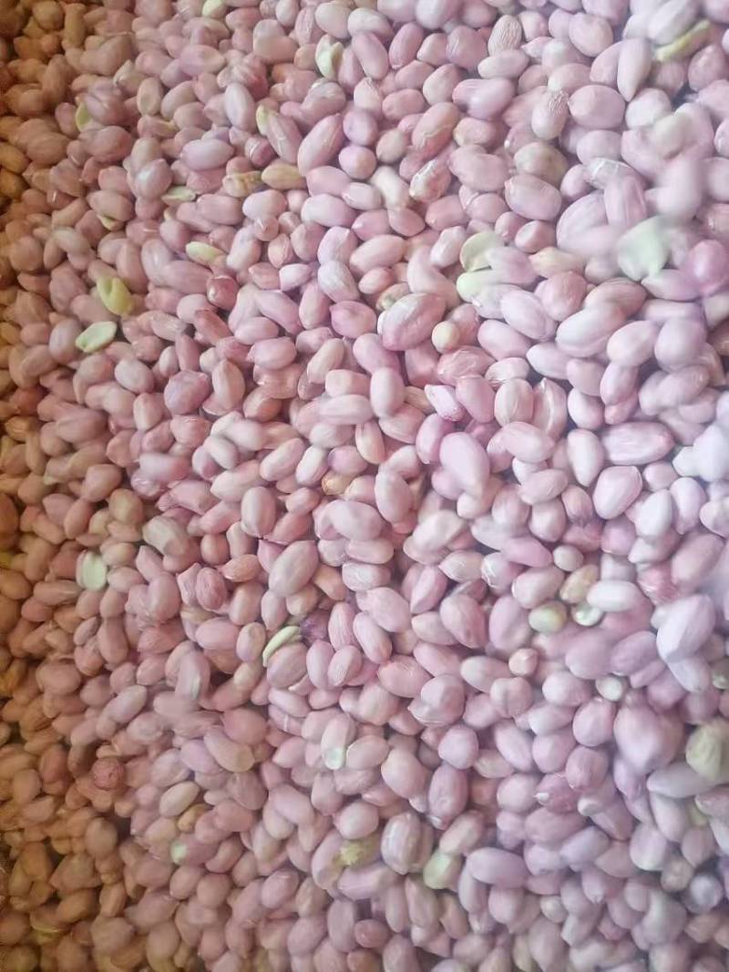 【推荐】河南精品花生米产地直发，品质保证，服务周到，