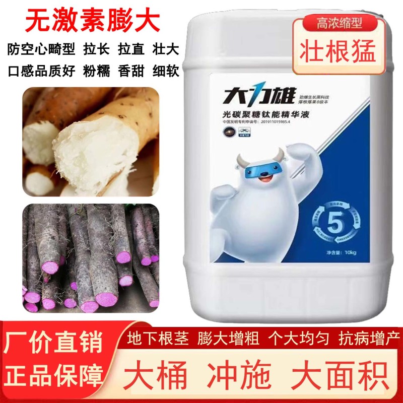 大力雄膨果素郁金天冬百部党参山药材当归柴胡五指毛桃膨大粗