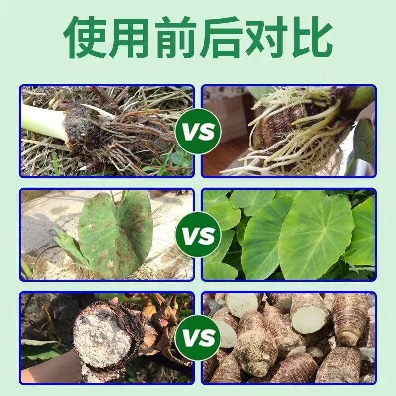 大力雄膨果素郁金天冬百部党参山药材当归柴胡五指毛桃膨大粗