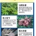 大力雄膨果素郁金天冬百部党参山药材当归柴胡五指毛桃膨大粗