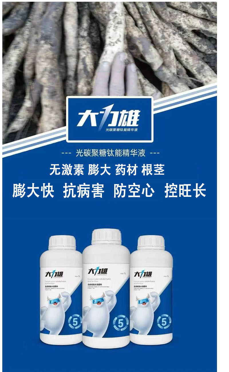 大力雄膨果素郁金天冬百部党参山药材当归柴胡五指毛桃膨大粗