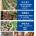 大力雄膨果素郁金天冬百部党参山药材当归柴胡五指毛桃膨大粗