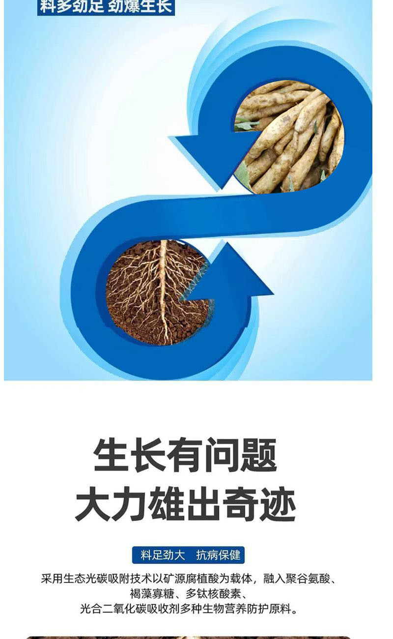 大力雄膨果素郁金天冬百部党参山药材当归柴胡五指毛桃膨大粗
