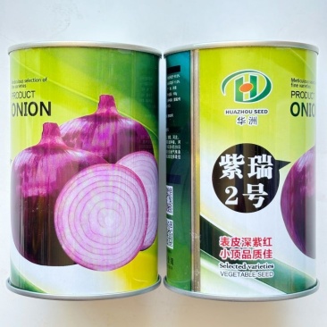 紫瑞2号紫皮洋葱种子早熟中日照半高桩深紫红耐抽