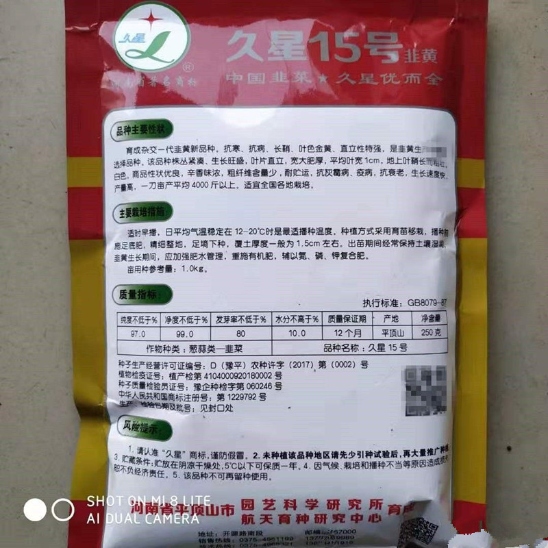久星15号韭黄种子抗寒抗病直立叶色金黄辛香味浓