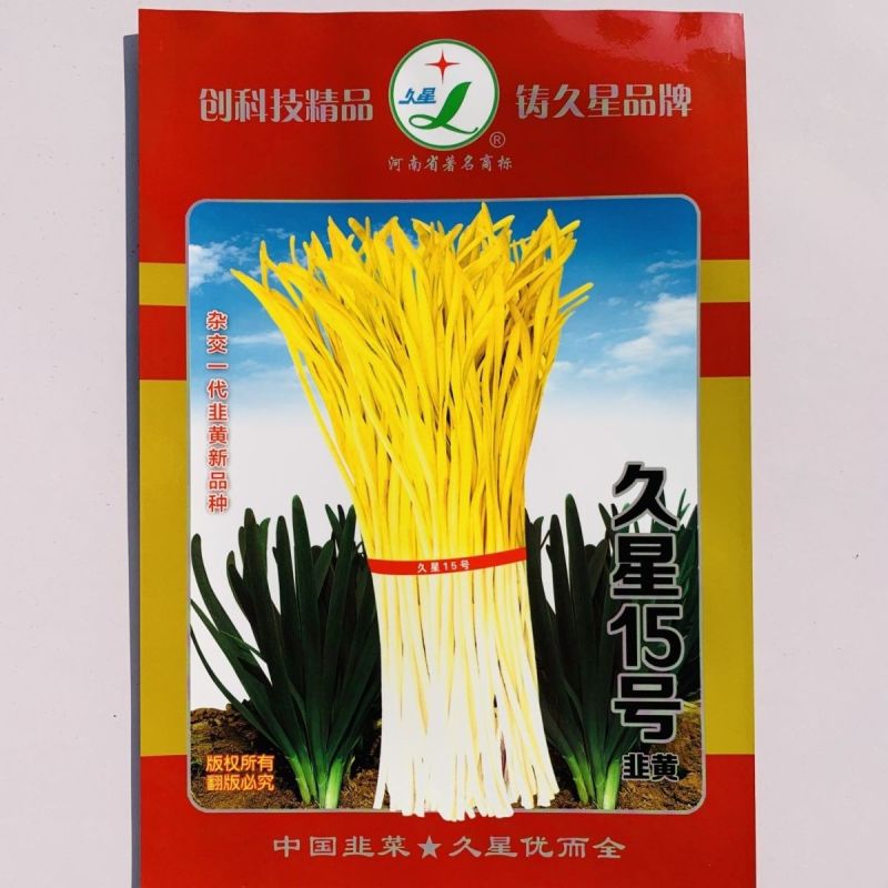久星15号韭黄种子抗寒抗病直立叶色金黄辛香味浓