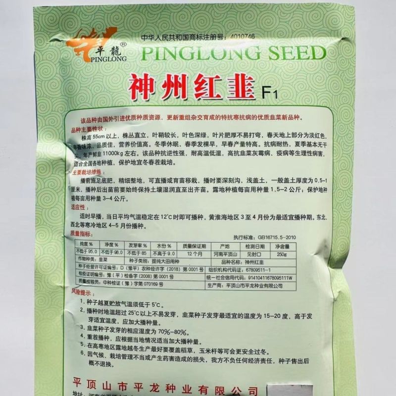 神州红根韭菜种子抗病耐热叶片肥厚不打弯辛香味浓