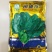 班德187菠菜种子红根杂交菠菜叶片墨绿抗病耐抽苔