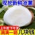 凉薯广西凉薯沙葛脆口甘甜当天现挖全国发货